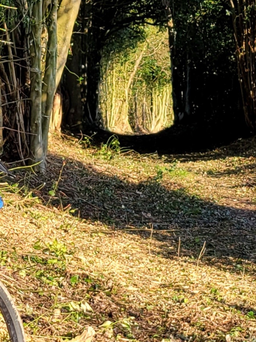 BAC Long Ride 2 April 2023